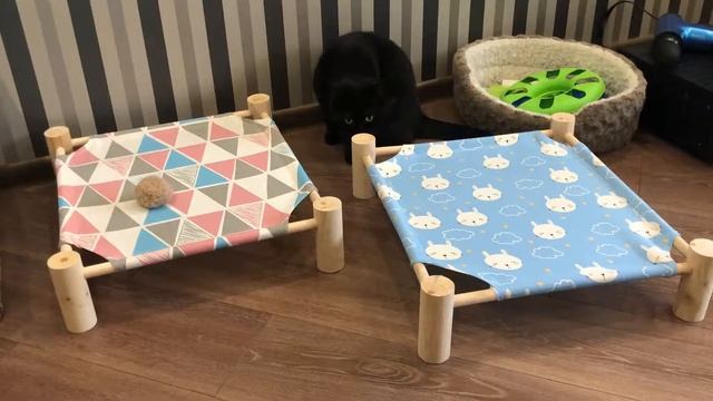 Собираем гомак для кота/спальное место для котов/купили гомак для кота смотреть онлайн