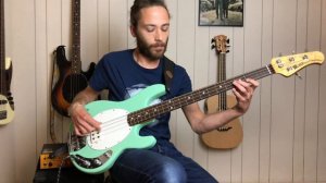 Acid Mountain by Moon Hooch - Bass Cover (with tabs)