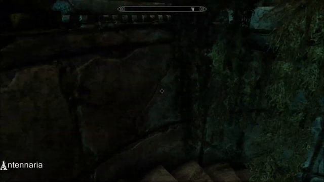 Antennaria - Skyrim Special Edition House Mod смотреть онлайн