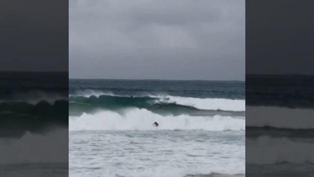 Почему мы уехали из Парижа в Австралию? Лучше один раз увидеть,... смотреть онлайн