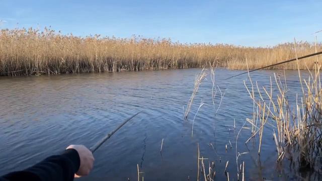 Рыбалка на открытой воде 2 января +15 смотреть онлайн