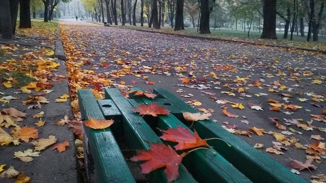 В осеннем парке смотреть онлайн