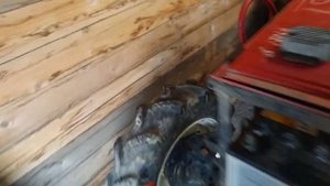 проблемы с зарядкой,свечи накаливания и моменты по фрезе.(yanmar)