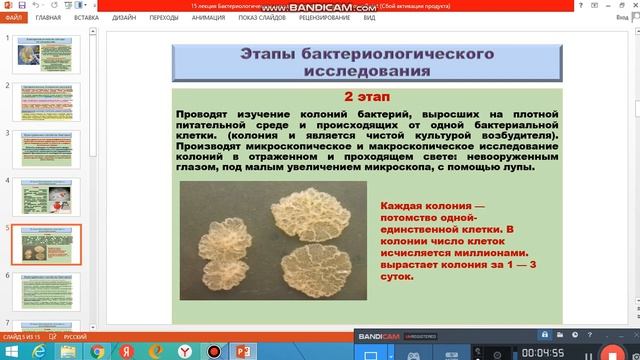 15 лекция Бактериологические методы исследования