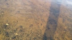 Баджер Аир Лайн 420 Белое море Лопшеньга