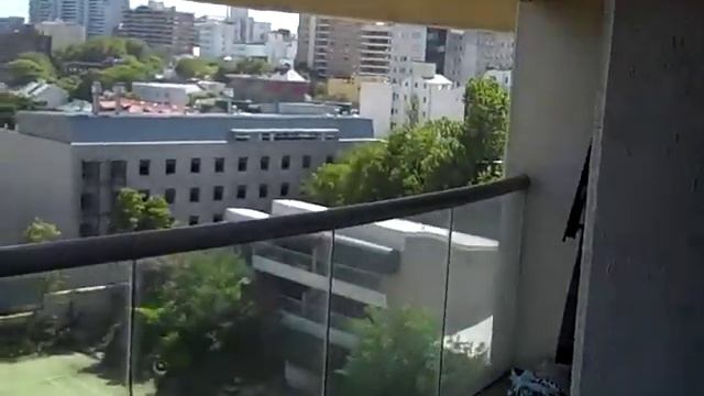 horizon panorama sydney harbour tennis court смотреть онлайн