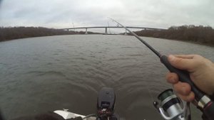 Рыбалка в Кашире на Оке ,три любимые джиговые проводки