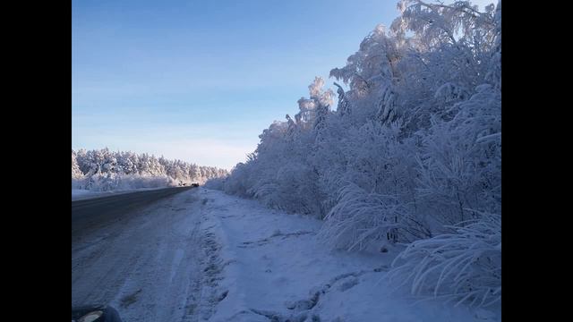 Люблю играть на скрипке урок 2 смотреть онлайн