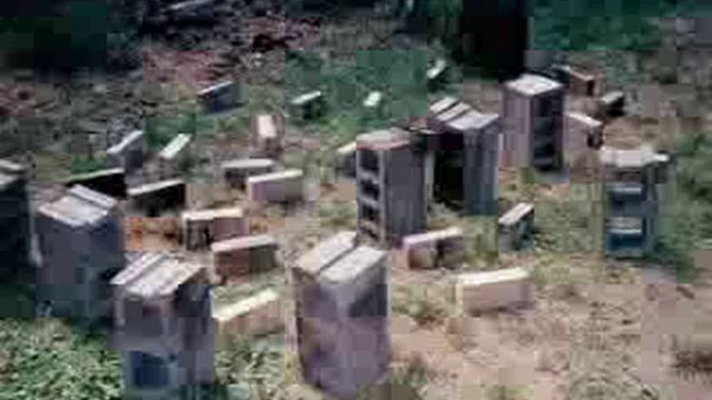 Jerry Hall soundalike / Scouser is that you John Lennon The Phonemenace смотреть онлайн