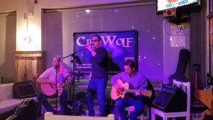 TC Helicon Play Acoustic Live Performance - Double Vision Acoustic
