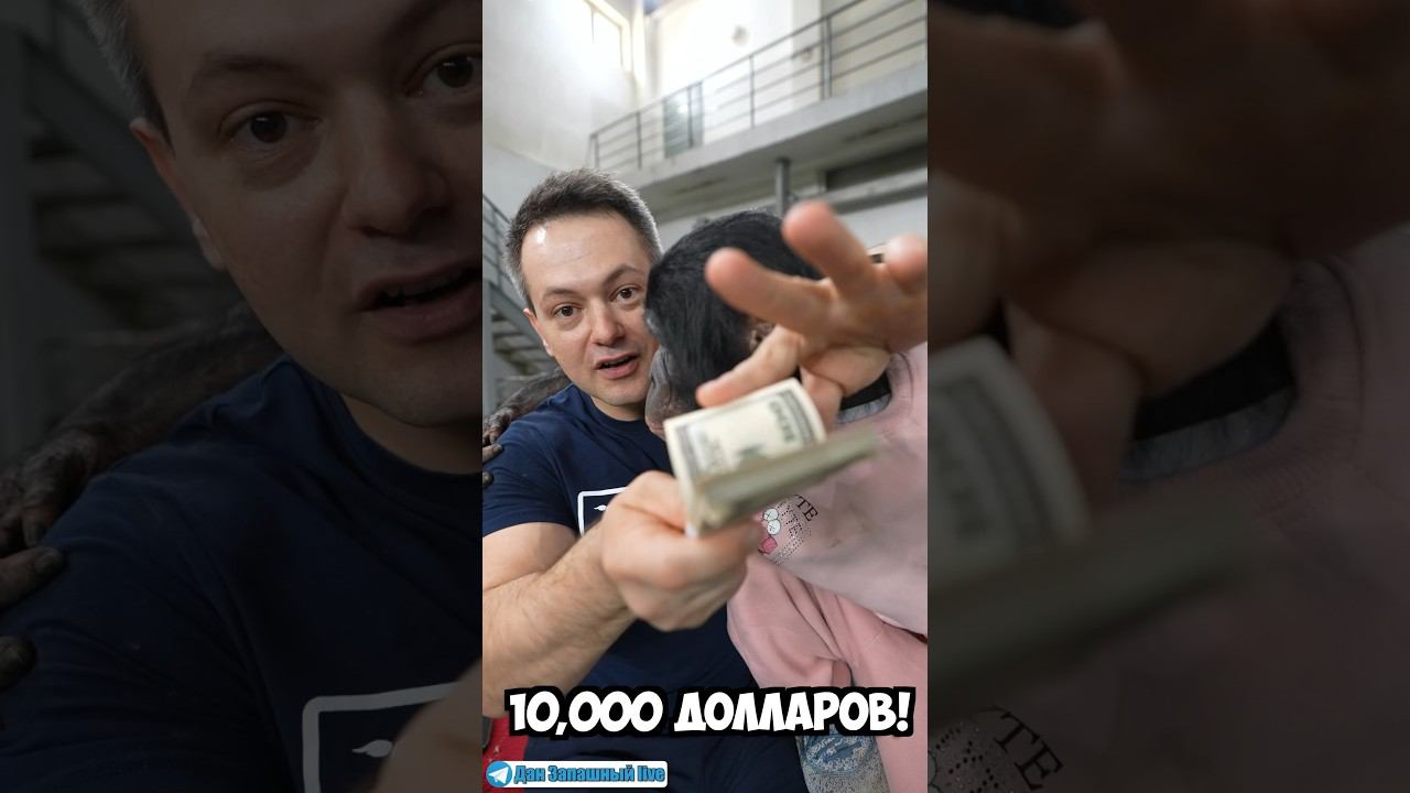 Даю 10,000 долларов за поимку обезьяны! смотреть онлайн