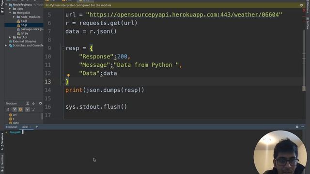 Combining Nodejs and Python | Very Powerful | Get Json Data | Tutorial смотреть онлайн