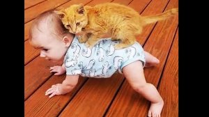 ? ВОСПИТАНИЕ ЧЕЛОВЕКА! ?/ Приколы с котами и собаками 2022 #4