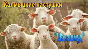 Калмыцкие частушки "Шавашмуд". Элиста. Калмыкия.