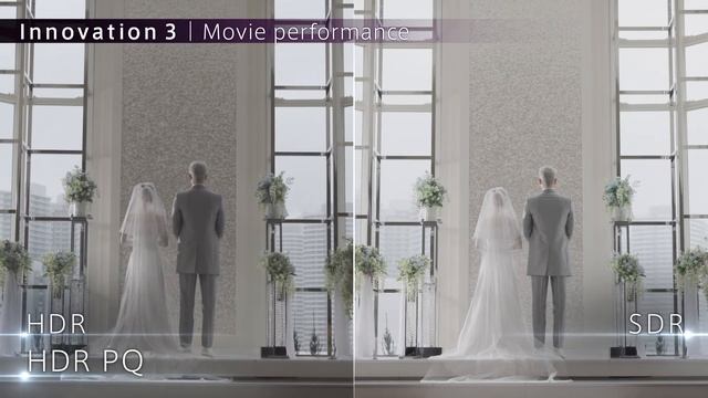 Canon EOS R5 | First Look смотреть онлайн