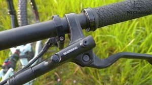 POLYGON SISKIU D7 2021