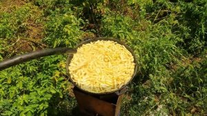 Спаржевая фасоль. Готовим на мужском огороде!