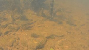 Под водой