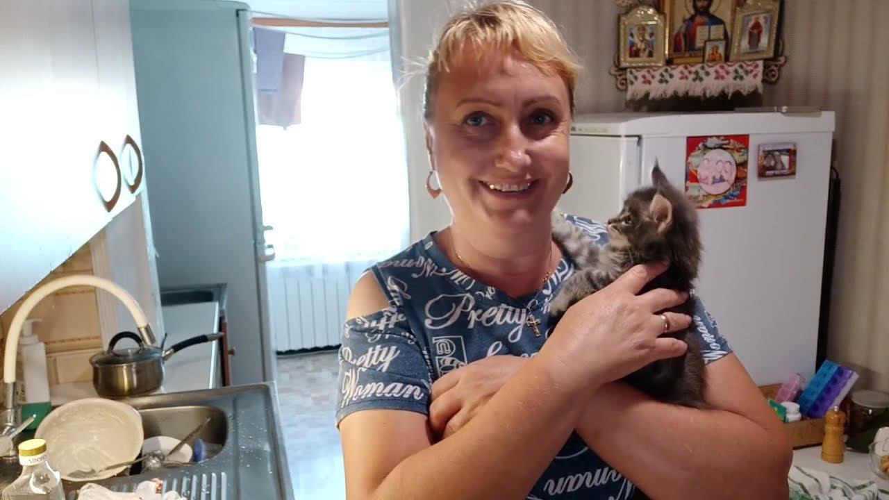 Как появился Чук, творожная запеканка и не только.