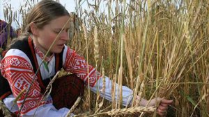 ВИА Шпаки Где ты, зорька моя