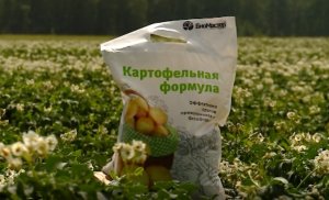 Органоминеральное удобрение «Картофельная формула» — полноценное питание и защита от проволочника.