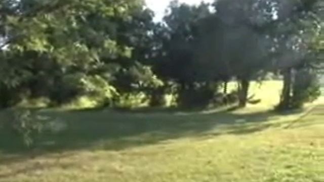 Alexander Mackenzie High School смотреть онлайн