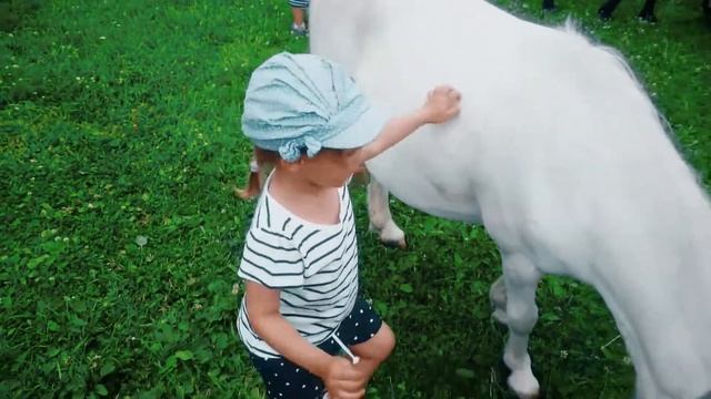 [АРХИВ] ВЛОГ Агаты — Гуляем с пони и лошадками. Подмосковье, июнь 2016. смотреть онлайн