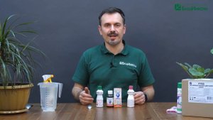 Как ухаживать за комнатными растениями и цветами. Инструкция по набору "Уход за комнатными цветами"