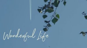 Wonderful Life cover на укулеле
