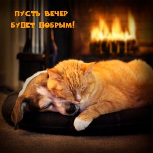 ДОБРЫЙ ВЕЧЕР!♥ ЖЕЛАЮ КРАСИВОГО ВЕЧЕРА!КРАСИВОЕ МУЗЫКАЛЬНОЕ ПОЗДРАВЛЕНИЕ!