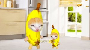 Banana Cat mistake when using the Shrinking flashlight