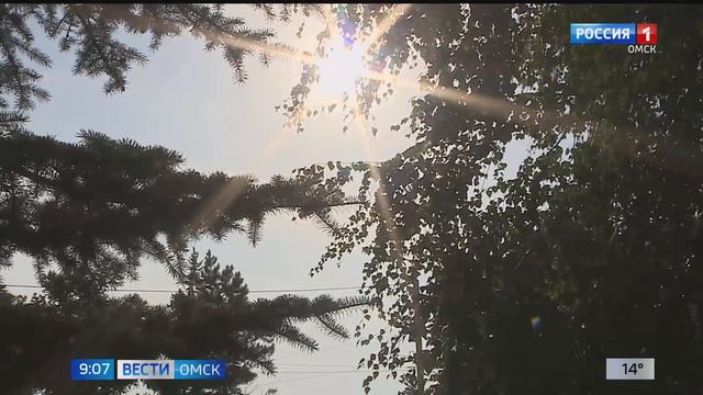 Температура в Омске упала до осенних значений смотреть онлайн