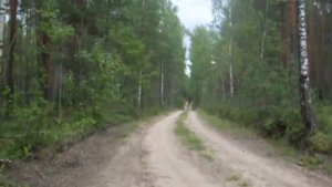 ТМЗ. Мотороллер Муравей. Мой муравей сейчас. Лето 2011
