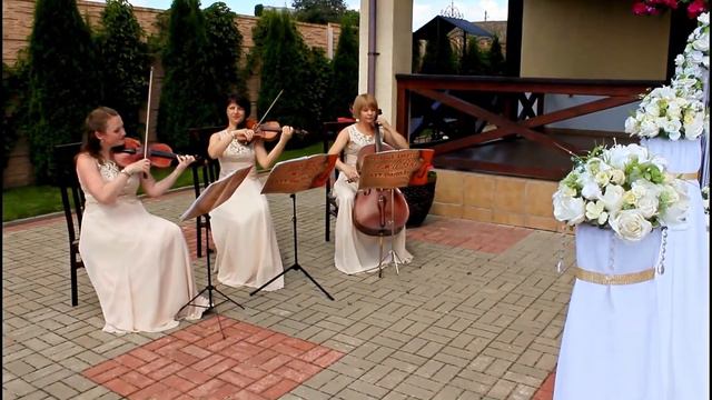 Струнный квартет "ДежаВю" - Chicago смотреть онлайн