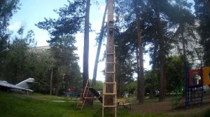 Как закрепить скворечники на соснах