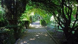 Санатории Ялты Нижняя Ореанда.avi