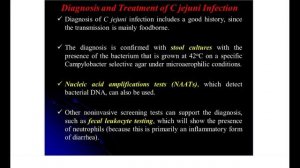 Lecture 7 (3rd course) — Yersinia enterocolitica, Campylobacter jejuni, Vibrio cholera, H pylori