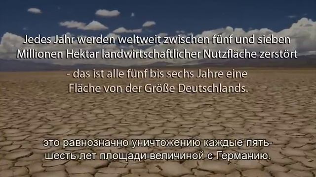 Пермакультура: пустыня или рай на Земле?