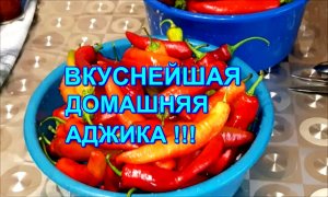 ВКУСНЕЙШАЯ АДЖИКА С ОРЕХАМИ Кулинарный рецепт