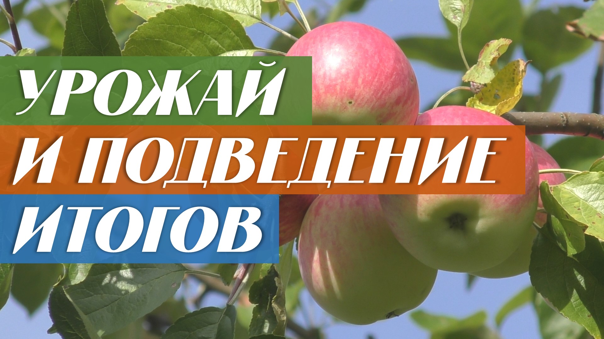 Итоги летнего сезона 2020 смотреть онлайн