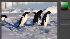 Как вырезать по контуру в фотошопе