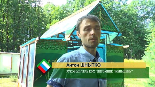 Женьшень – корень жизни смотреть онлайн