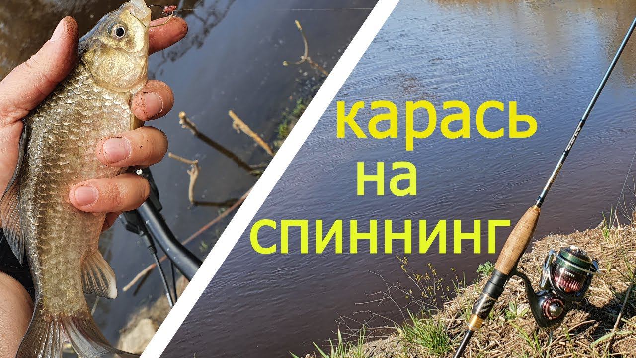 КАРАСЬ НА СПИННИНГ. Jig Rig и Split Shot в действии.