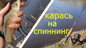 КАРАСЬ НА СПИННИНГ. Jig Rig и Split Shot в действии.