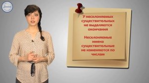 Понятие о несклоняемых именах существительных