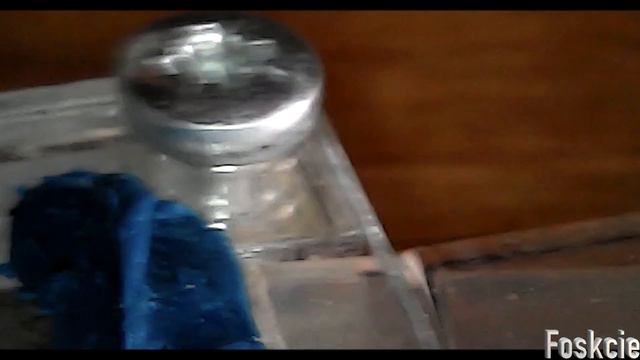 Camp. Parius - муравей гений (быстрореактивный муравей). Начало смотреть онлайн