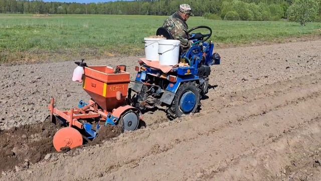 Посадка картофеля мотоблоком МТЗ и картофелесажалкой КСН-1