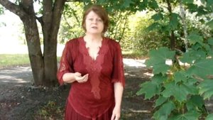 Стихотворение А.К.Толстого "Дождя отшумевшего капли" читает Кириченко С.А.