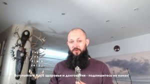 Чем кормить мозг?