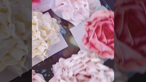 ЗЕФИРНЫЕ ПИОНЫ И ГОРТЕНЗИИ